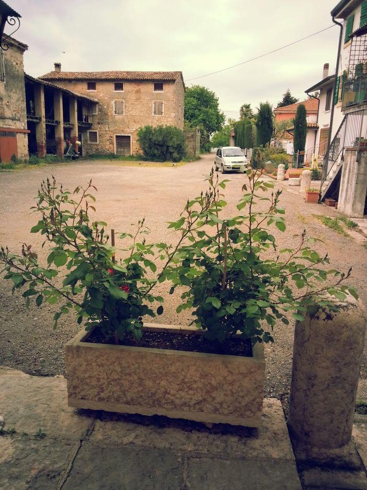 Albergo Mio Lazise Exterior foto